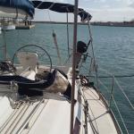 Bavaria 36